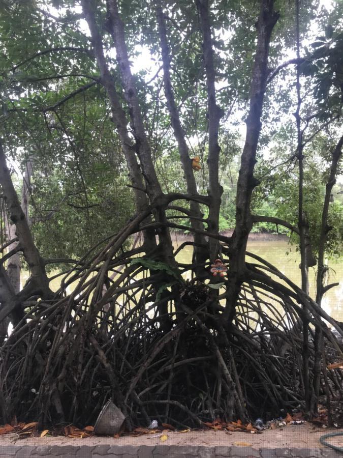 Baan Bon Resort Bang Tabun 펫차부리 외부 사진